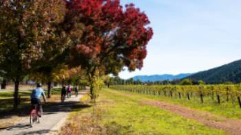 144025-56,Josie Withers Cycling past a vineyard near Bright on the Murray to Mountains Rail Trail in Victoria