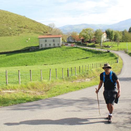 Single Solo Traveller Camino Tours In Europe UTracks