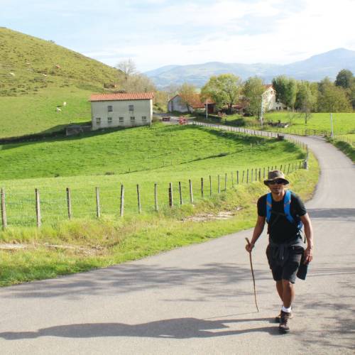 Luscious scenery as we walk the Camino Trail through Spain