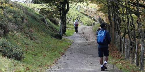 best camino self guided tours