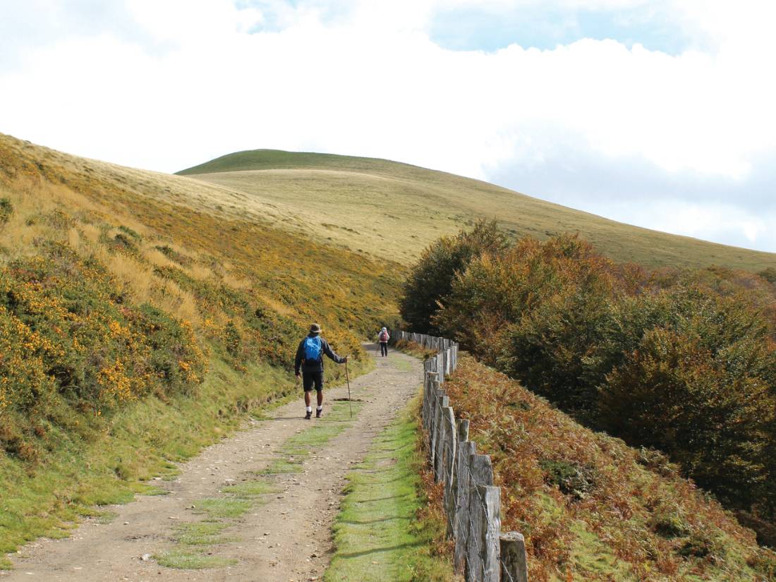 Walking through Spain along the iconic Camino Trail |  <i>Scott Kirchner</i>