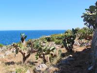 IMG_5882 puglia coastal walk