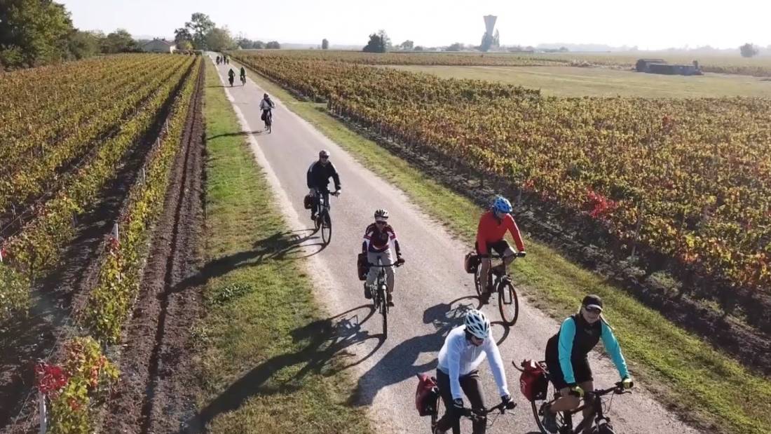 Cycle through the famous vineyards of Bordeaux