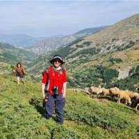 Hiking the lush pastures of the Peaks of the Balkans trail