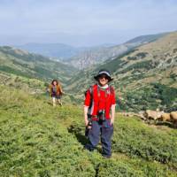 Hiking the lush pastures of the Peaks of the Balkans trail