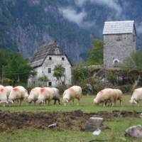 Discovering a blood feud tower in Theth on the High Trails of the Balkans walk