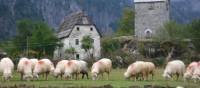 Discovering a blood feud tower in Theth on the High Trails of the Balkans walk