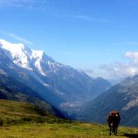 First views of Switzerland when walking around Mont Blanc | Caity Wallace