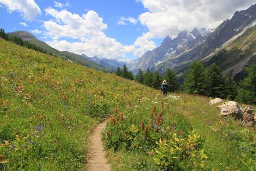 Beautiful landscape on the Tour du Mont Blanc trail