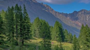 Aosta Valley, Gran Paradiso,Jorjoson Stunning Gran Paradiso hiking