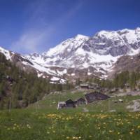 Beautiful alpine valley in Gran Paradiso National Park in Italy