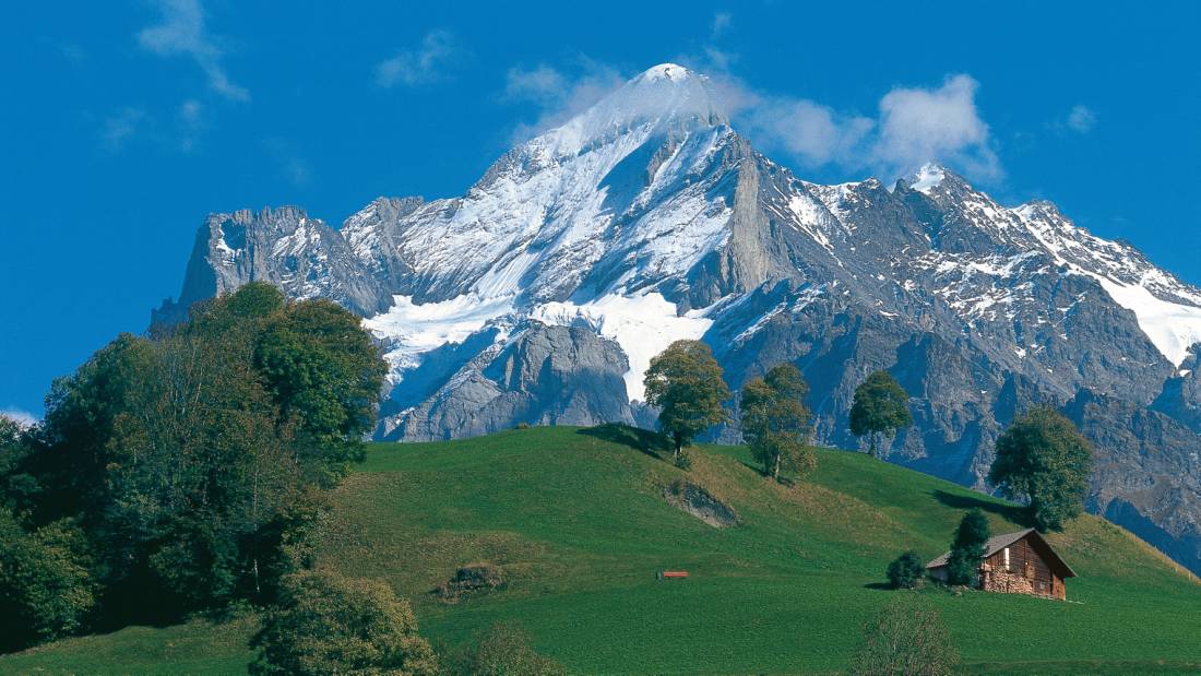 The 3692m Wetterhorn as seen from Grindelwald in the Bernese Oberland. |  <i>Switzerland Tourism</i>