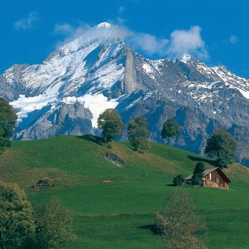 alps trekking tours