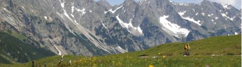alpine challenge cycling