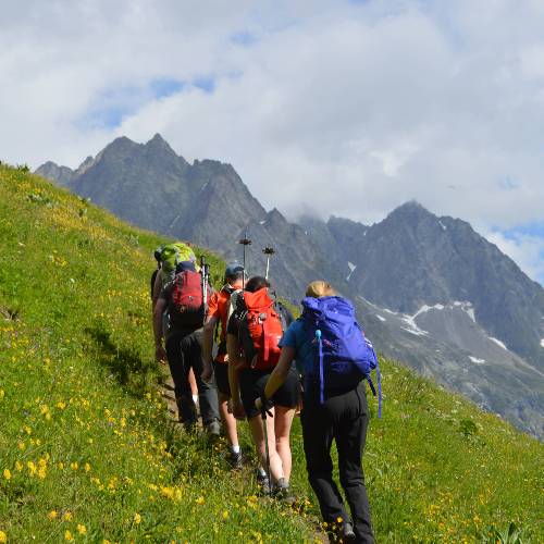 track tour du mont blanc