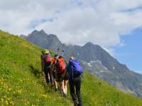 On the trail in the Mont Blanc region |  <i>Erin Williams</i>