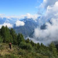 Alp Bovine, Tour de Mont Blanc | Sarah Hunt