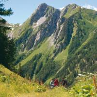 Meadows above La Fouly | Sue Badyari