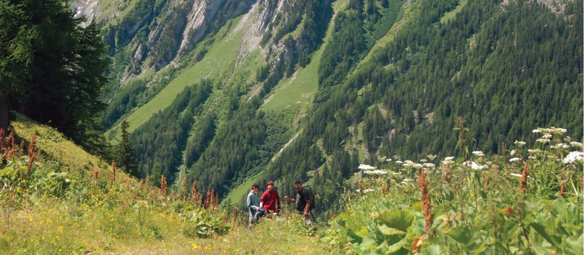 Meadows above La Fouly | Sue Badyari