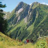 Meadows above La Fouly | Sue Badyari