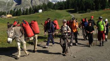 Families walking with donkeys beneath the lofty heights of Mont Blanc | Kate Baker