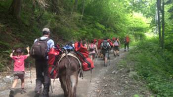 Mont Blanc Family Walk,Kate Baker Family group hiking with donkeys around Mont Blanc