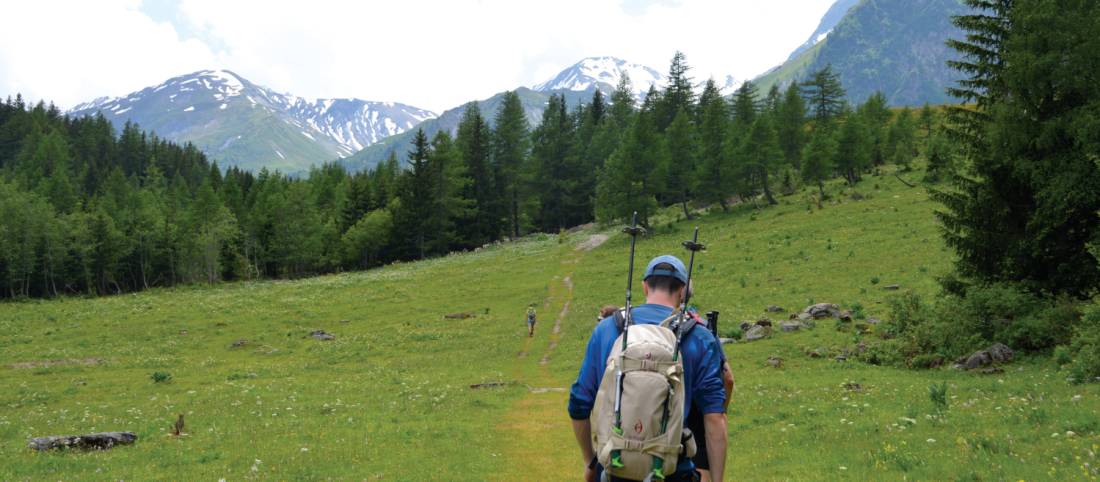 Verdant landscapes as we hike through the European Alps |  <i>Erin Williams</i>