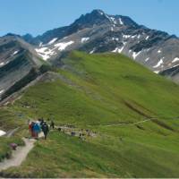 The steep descent from the Grand Col Ferret; the pass linking the Swiss and Italian section of the Mont Blanc Circuit | Sue Badyari