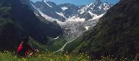 Spring flowers with breathtaking views above La Fouly, Switzerland |  <i>Sue Badyari</i>