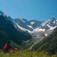 Spring flowers with breathtaking views above La Fouly, Switzerland | Sue Badyari