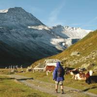 Walking up the wide alpine Valley de la Lee Blanche in Italy on our Tour du Mont Blanc | Philip Wyndham