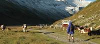 Walking up the wide alpine Valley de la Lee Blanche in Italy on our Tour du Mont Blanc |  <i>Philip Wyndham</i>