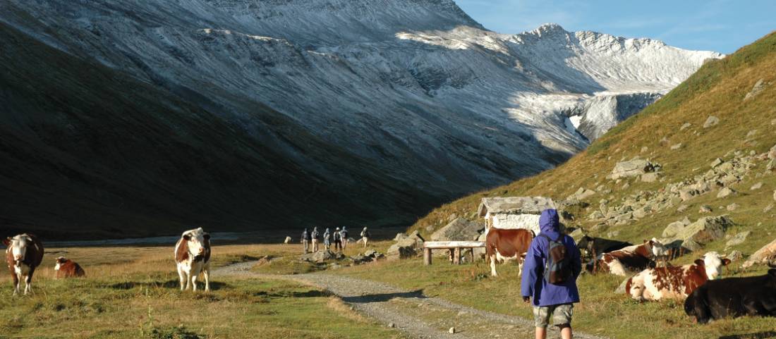 Walking up the wide alpine Valley de la Lee Blanche in Italy on our Tour du Mont Blanc |  <i>Philip Wyndham</i>