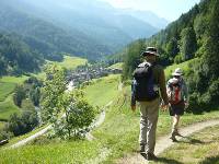 Rambling above a Swiss mountain village |  <i>Jac Lofts</i>