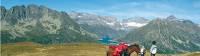 Mules are used to transport our bags on the mont blanc guided walk