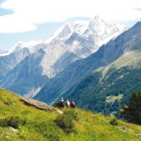 Hikers in the Zermatt Valley, Switzerland | Sarah Higgins