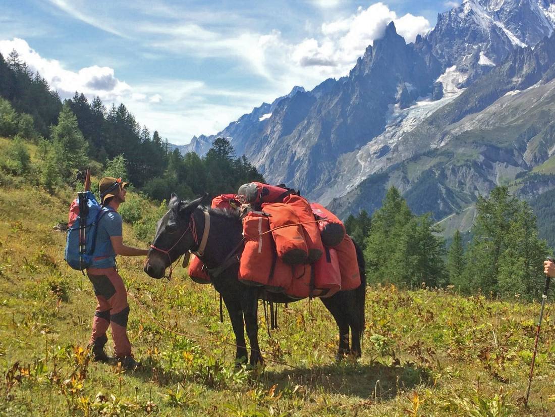 One of our guides & mule making things happen in the Mont Blanc region |  <i>Ryan Graham</i>