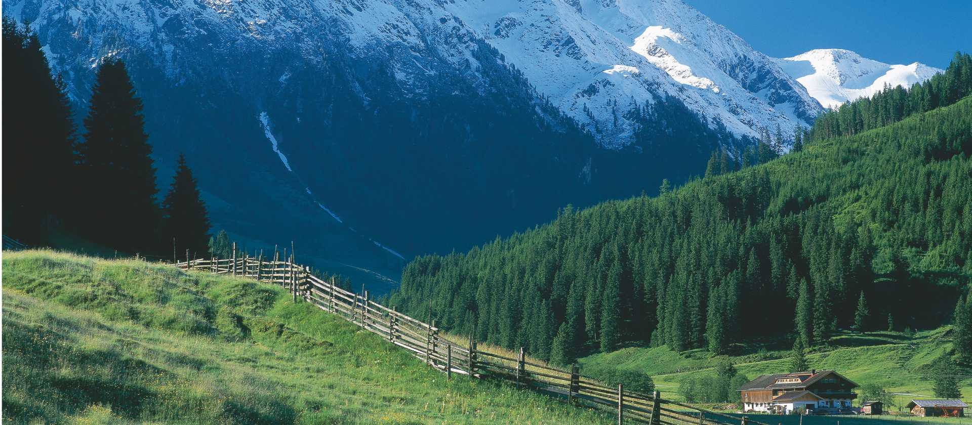 Cycle through the Zillertal valley on your way to Innsbruck from Munich | Mallaun