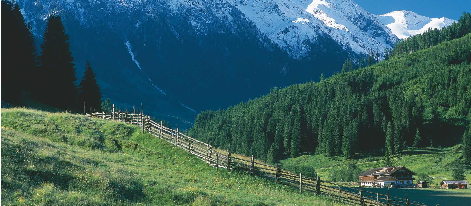 Cycle through the Zillertal valley on your way to Innsbruck from Munich | Mallaun