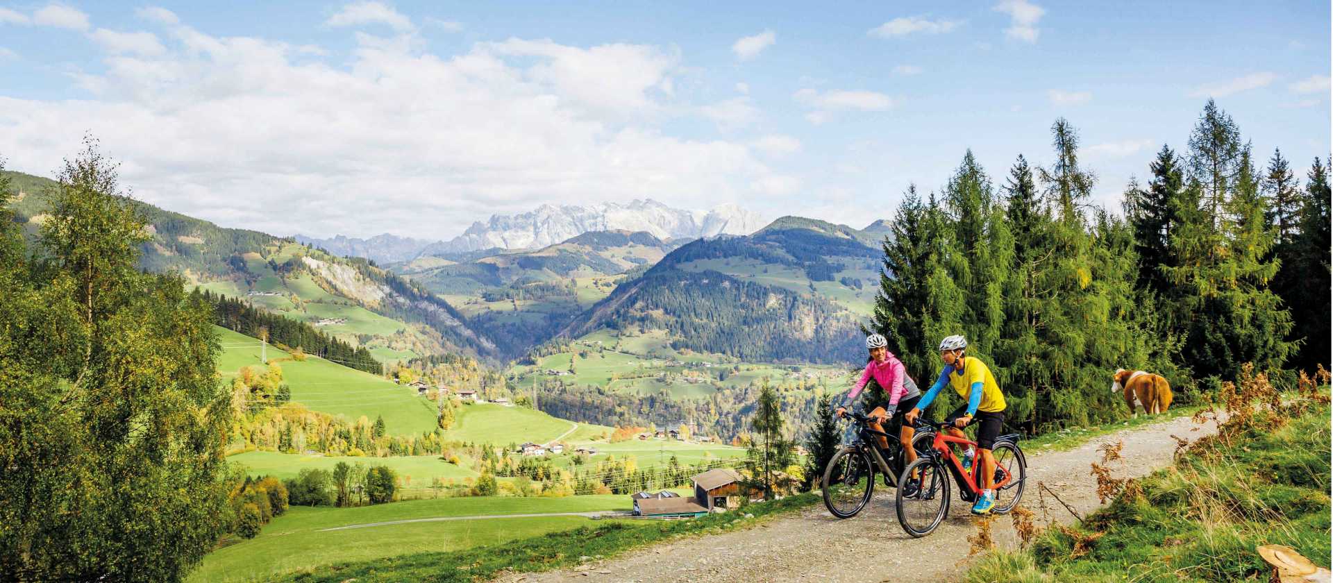 Enjoy spectacular views while cycling around Salzburg