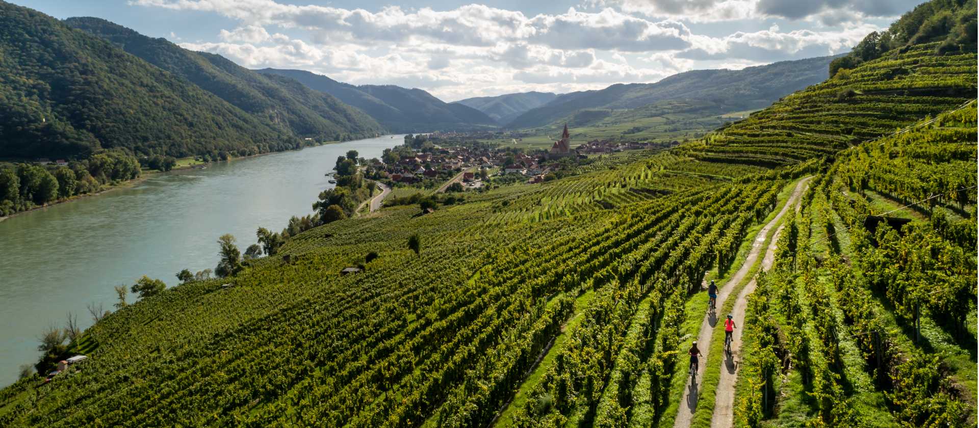 Cycling vineyards trails alongside the Drau river in Austria | Martin Steinthaler