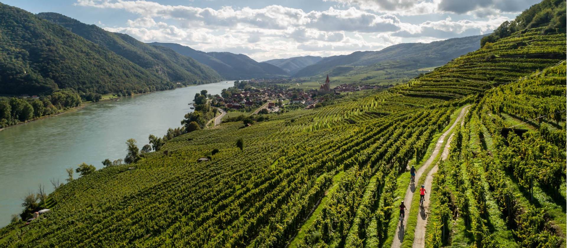 Cycling vineyards trails alongside the Drau river in Austria | Martin Steinthaler