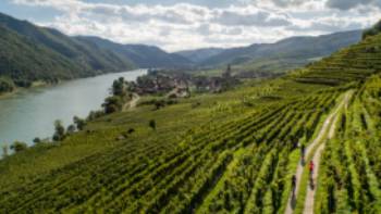 Cycling vineyards trails alongside the Drau river in Austria