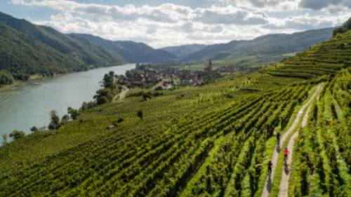 Cycling vineyards trails alongside the Drau river in Austria | Martin Steinthaler