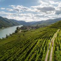 Cycling vineyards trails alongside the Drau river in Austria | Martin Steinthaler