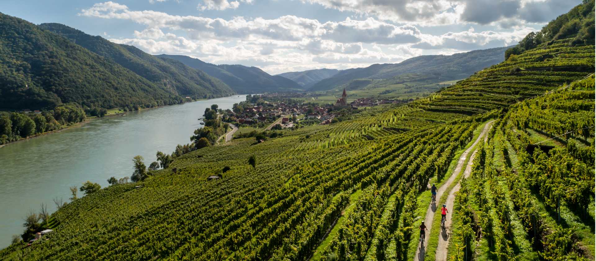 Cycling vineyards trails alongside the Drau river in Austria | Martin Steinthaler