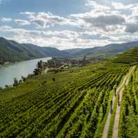 Cycling vineyards trails alongside the Drau river in Austria | Martin Steinthaler