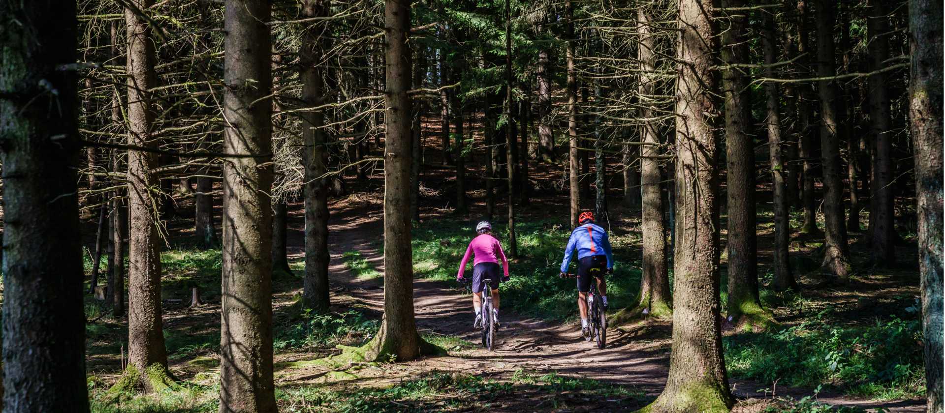 Cycling Austria's forest trails near Linz | Martin Steinthaler