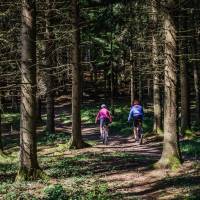 Cycling Austria's forest trails near Linz | Martin Steinthaler