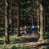 Cycling Austria's forest trails near Linz | Martin Steinthaler